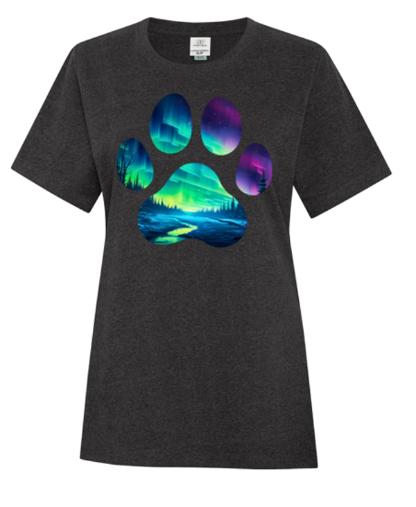 Northern Lights Earth Wash Ladies Tee