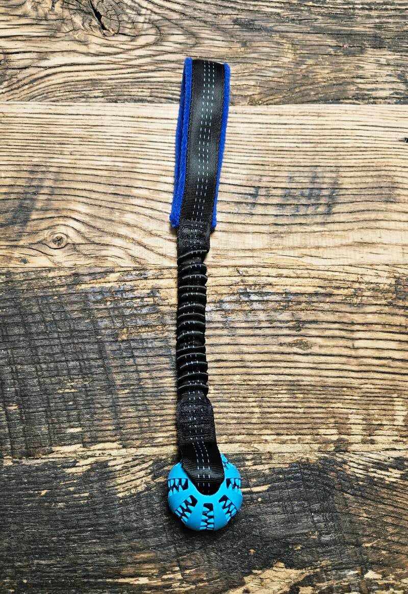 ON Regionals Dental Ball Rocket