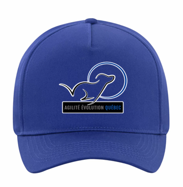 AEQ COMMITTEE Twill Ball Cap
