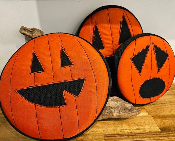 Pumpkin Patch Soft Flyer