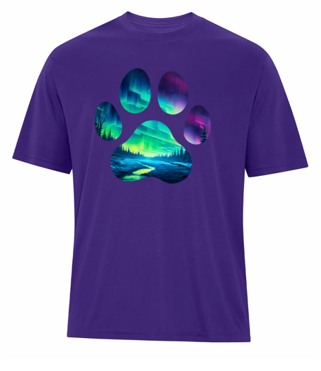 Northern Lights Unisex Performance Tee