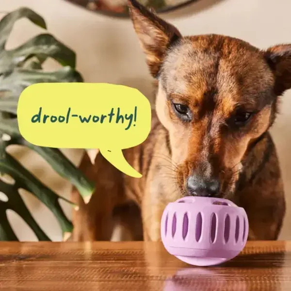Woof Pupsicle - Lavender