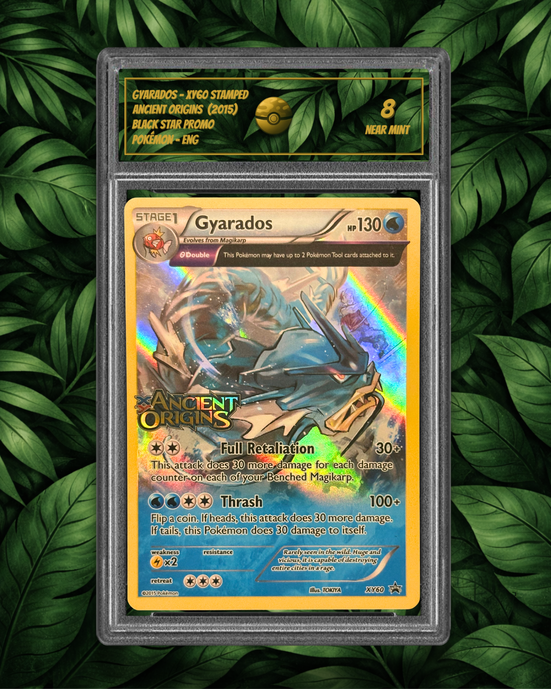 Gyarados XY60 STAMPED - SG 8 - NM - EN