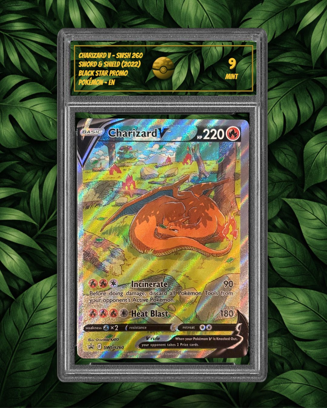 Charizard V SWSH 260 - SG 9 - MT - EN