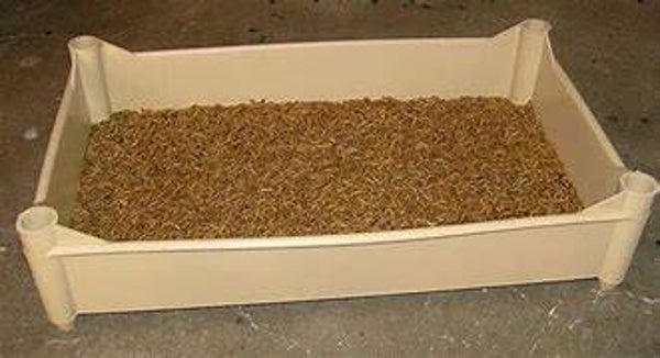 kunststof stapelbak voor insecten