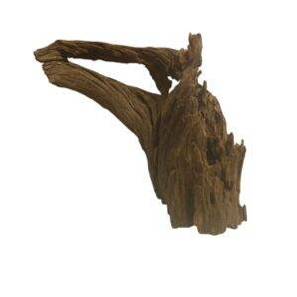 Mangrove hout 50 cm