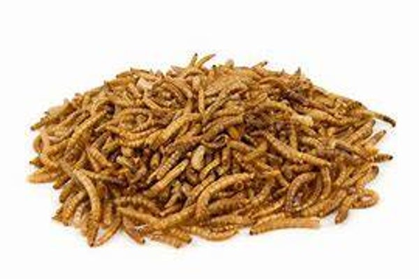Gedroogde meelwormen per kilo