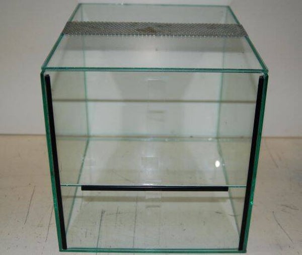 Spinnen Terrarium