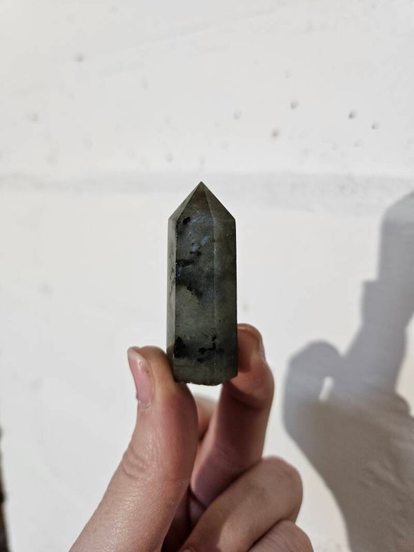 Labradoriet torentje