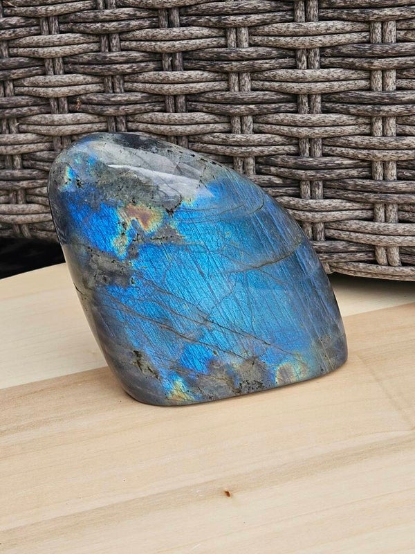 Labradoriet blauwe flash!