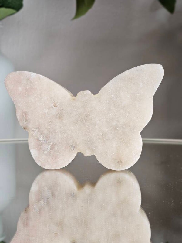 Roze amethist vlinder