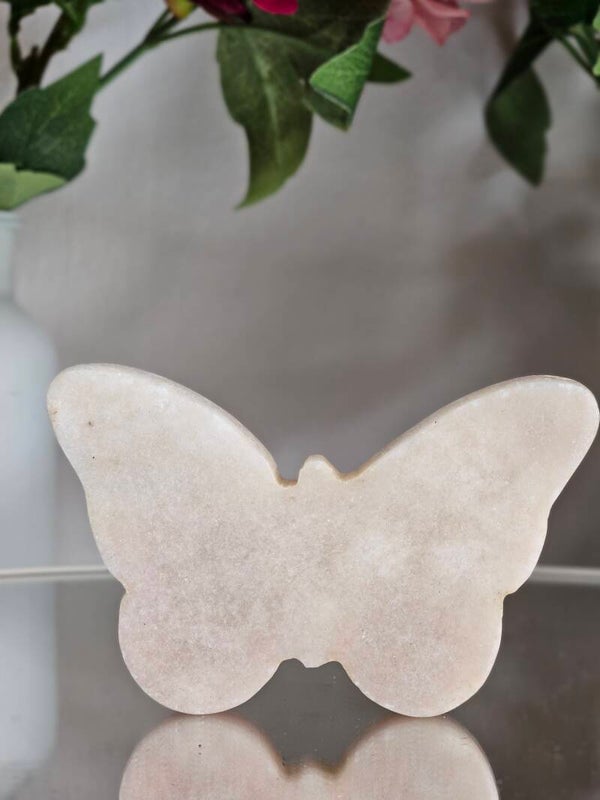 Roze amethist vlinder