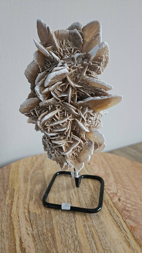 Woestijnroos op standaard #92