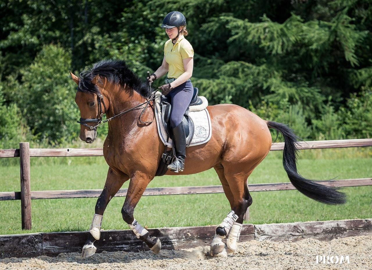 Young Horse under saddle, Morten Thomsen, Groundwork, TRT Method