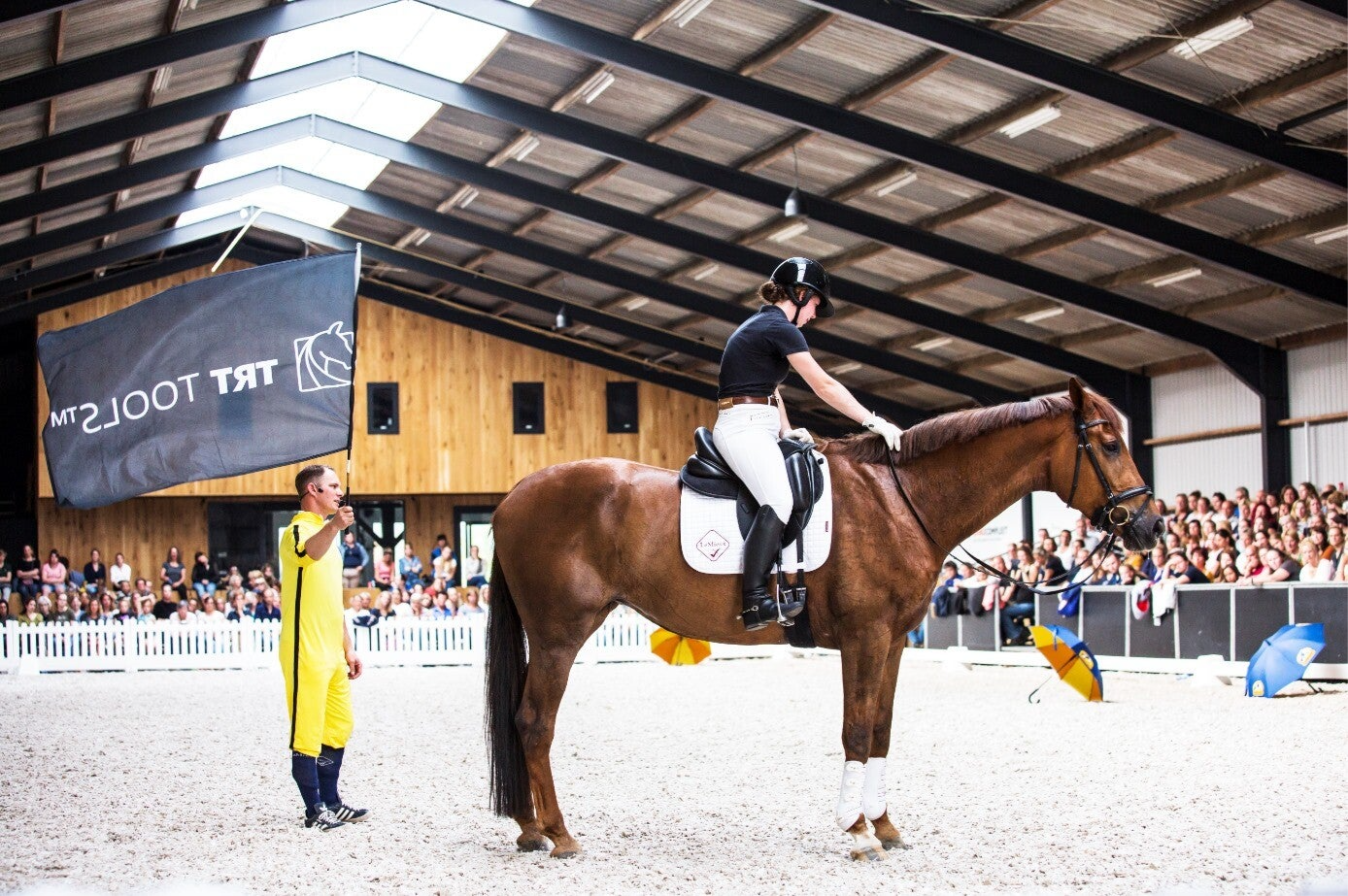 Young Horse under saddle with Tristan Tucker of TRT Method
