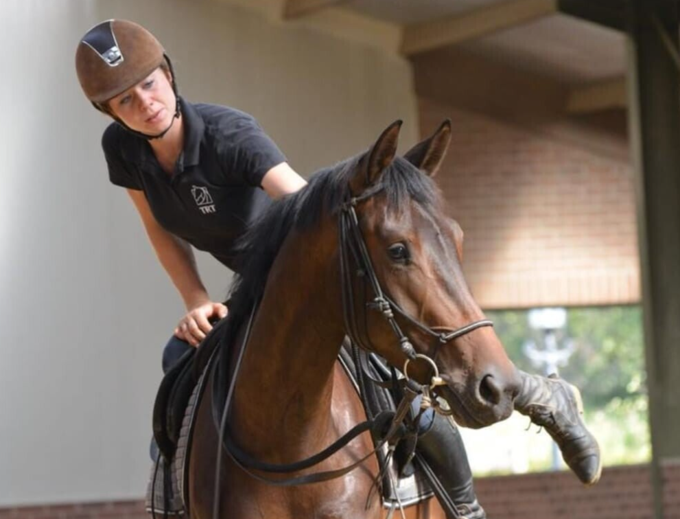 Young Horse, Zadelmakmaken, Groundwork, horsemanship, TRT Method, Tristan Tucker