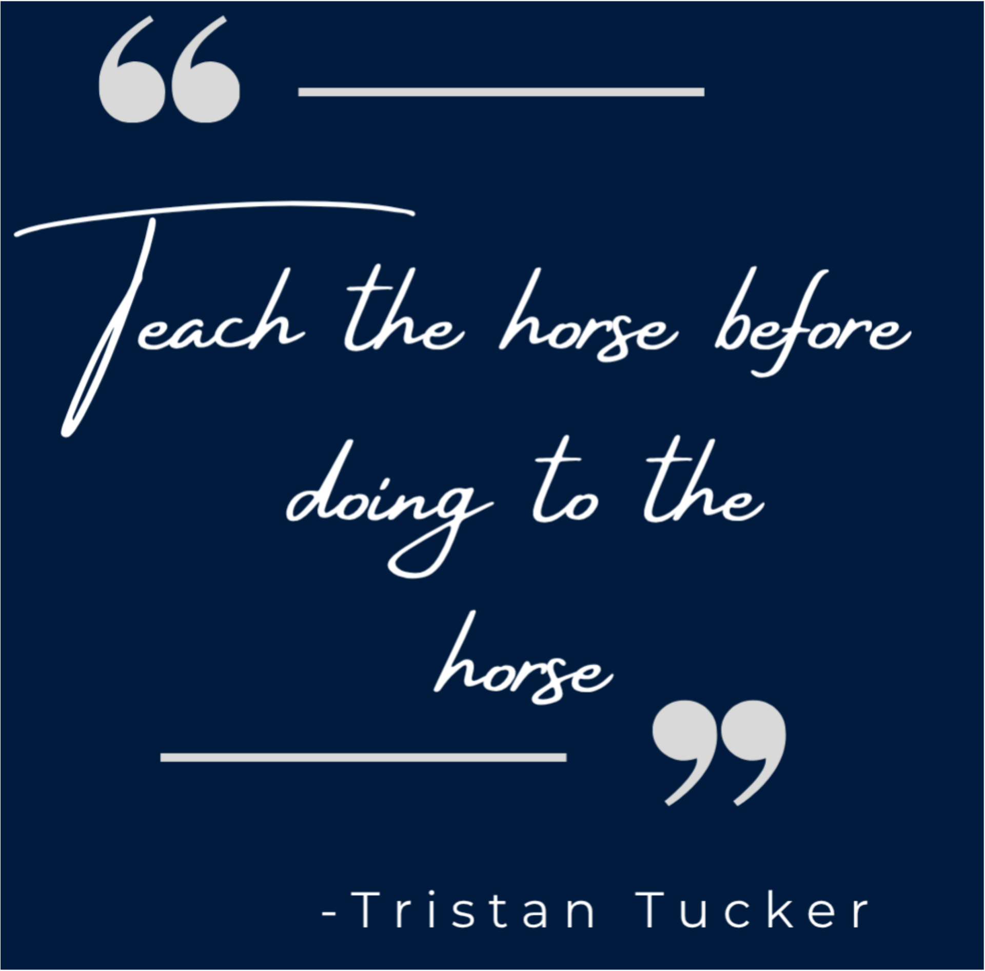 Tristan Tucker, TRT Method, groundwork trainer, young horse trainer