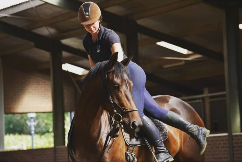 young horse trainer, zadelmak maken, ground work, horsemanship, TRT Method, Tristan Tucker