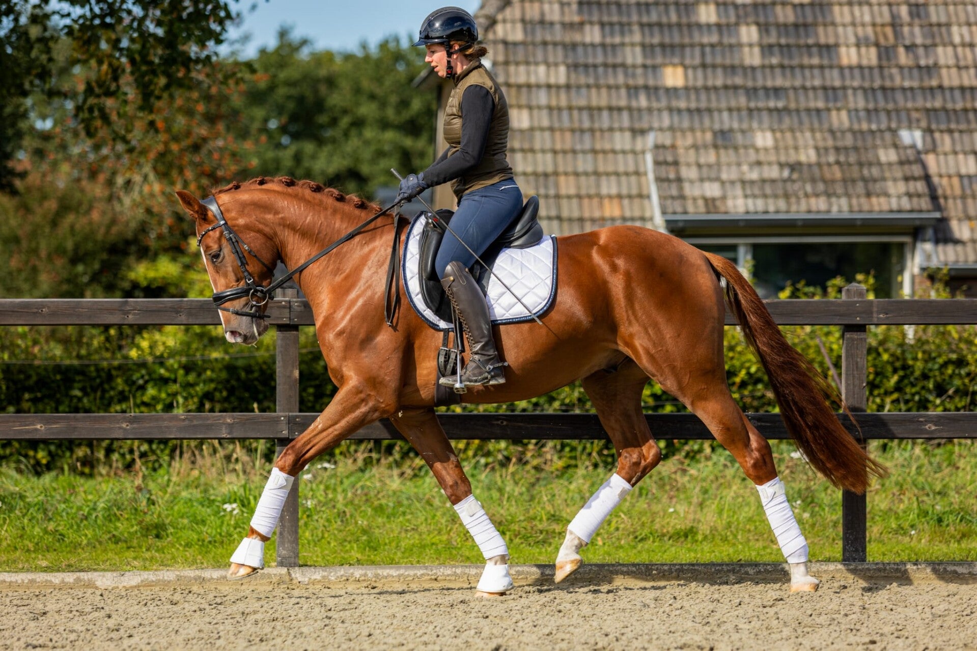 Young horse trainer, ground work trainer, horsemanship trainer, zadelmak maken, TRT Method, Tristan Tucker, Dressage