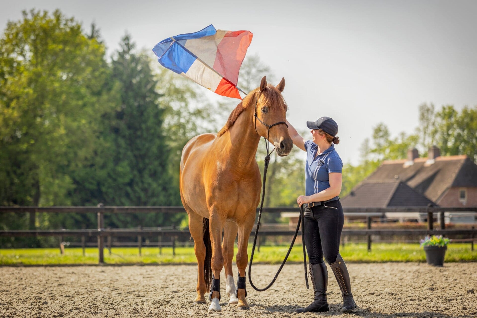 Young Horse, zadelmakmaken,Groundwork, Horsemanship, Tristan Tucker, TRT Method, Dressage