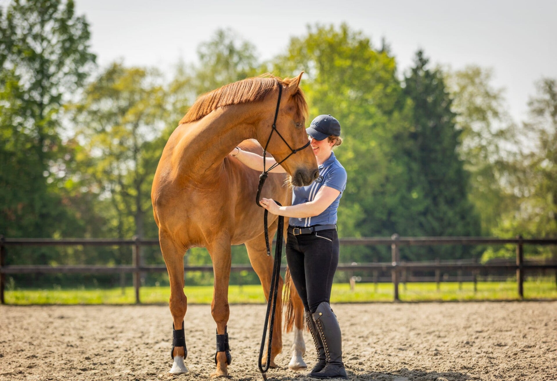 Young horse, zadelmak maken, starting horse under saddle, TRT Method, Tristan Tucker, Groundwork, Horsemanship