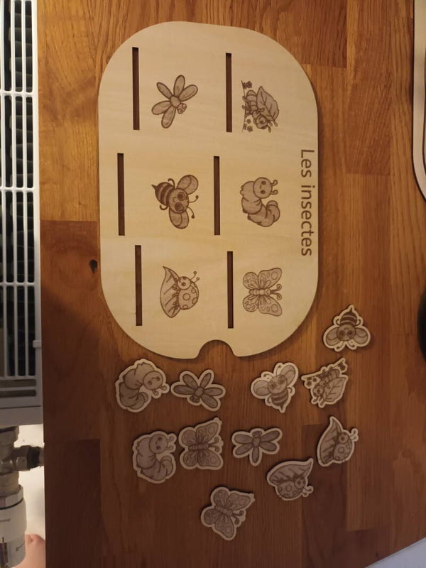 Insert trofast insecte