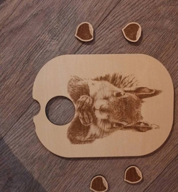 Insert trofast écureuil
