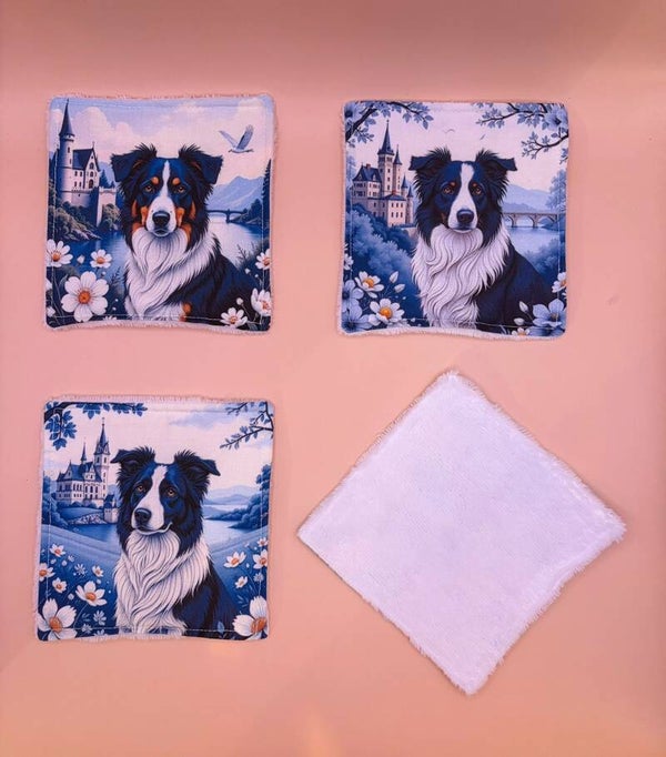 Lingette Border Collie