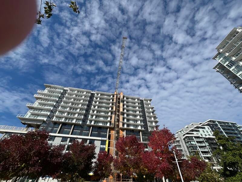 img_4930-standard.jpg