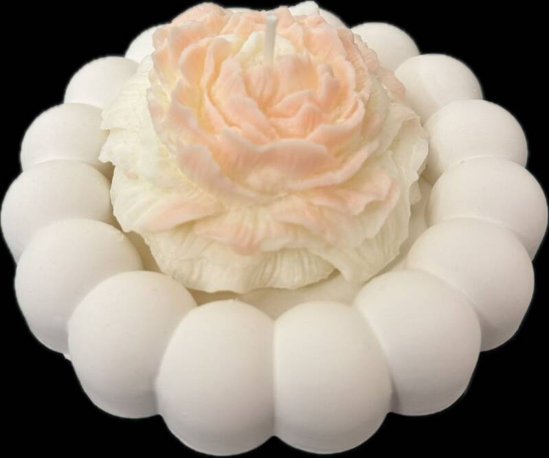 rosa-e-standard-9ol2zl.jpg