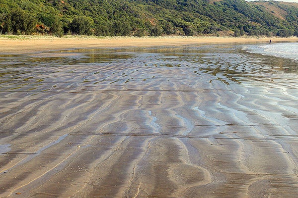 Patterns of the Tide