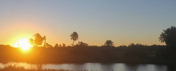 Daybreak Reflections