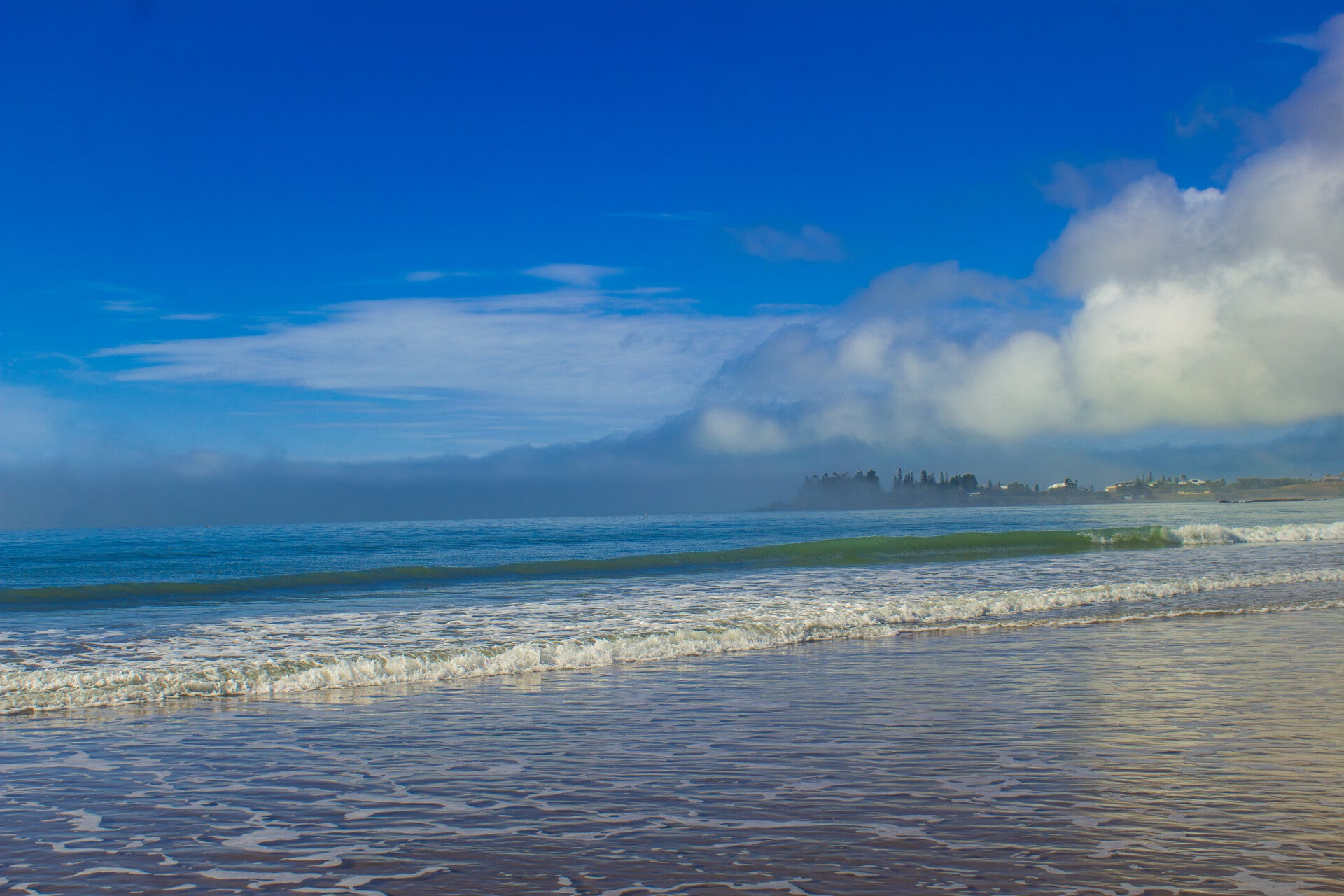 Misty Morning