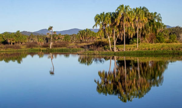 Mirror Calm