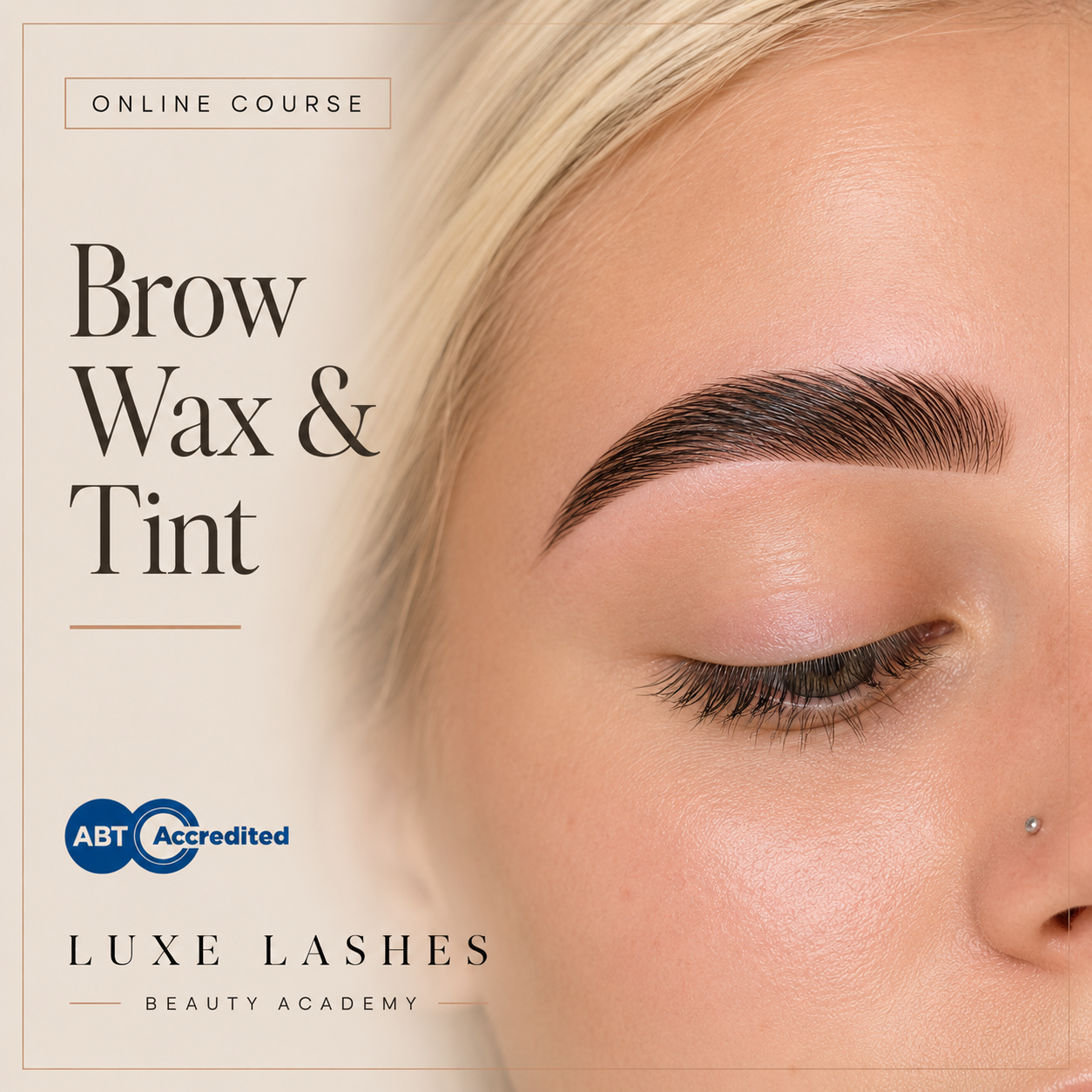 ONLINE BROW WAX AND TINT COURSE