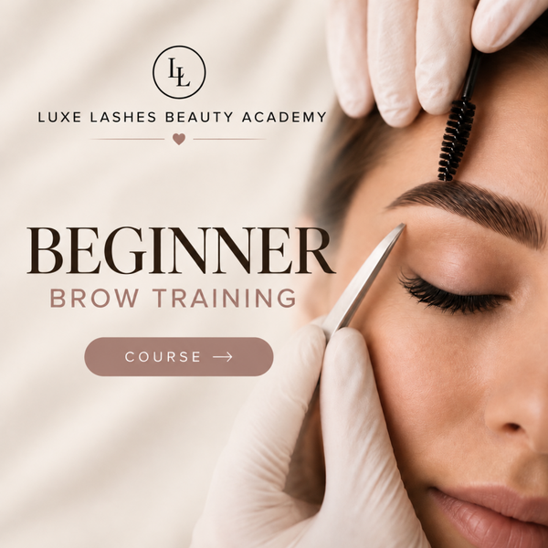 Beginner Brow Training