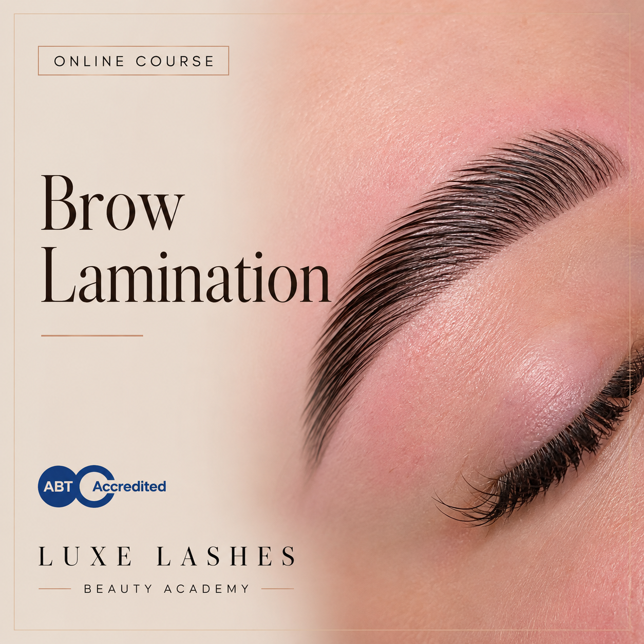 ONLINE BROW LAMINATION COURSE