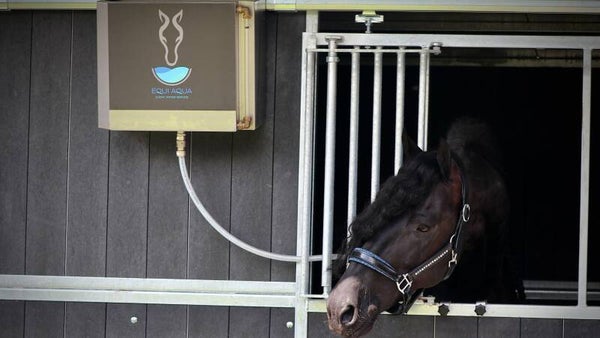 Equi Aqua