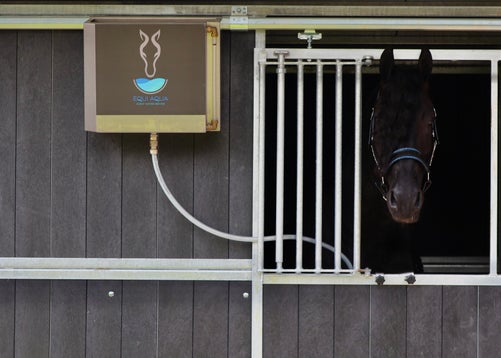 Equi Aqua