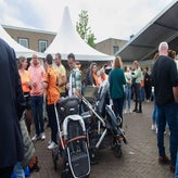img_8118-standard.jpg