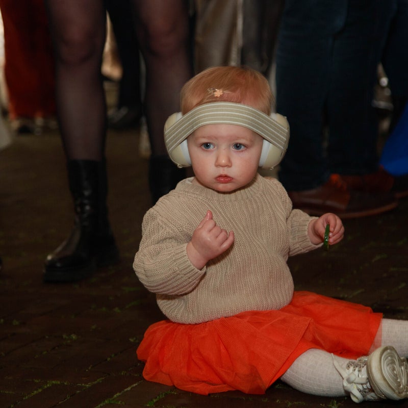 img_8150-standard.jpg