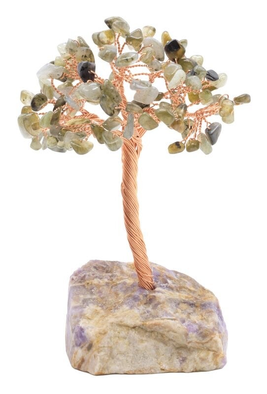 Arbre du bonheur 14 cm