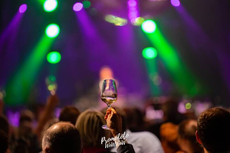 eventfotograaf in kortrijk bent brugge roeselrae