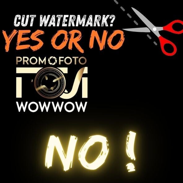 mag men watermerk fotograaf verwijderen?