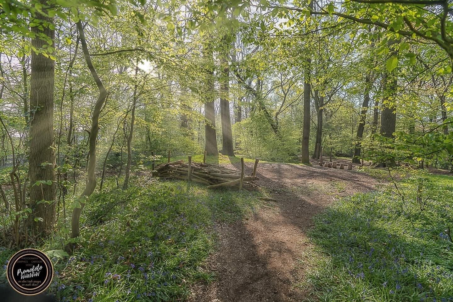 familieshoots huwelijksshoots in natuur locaties