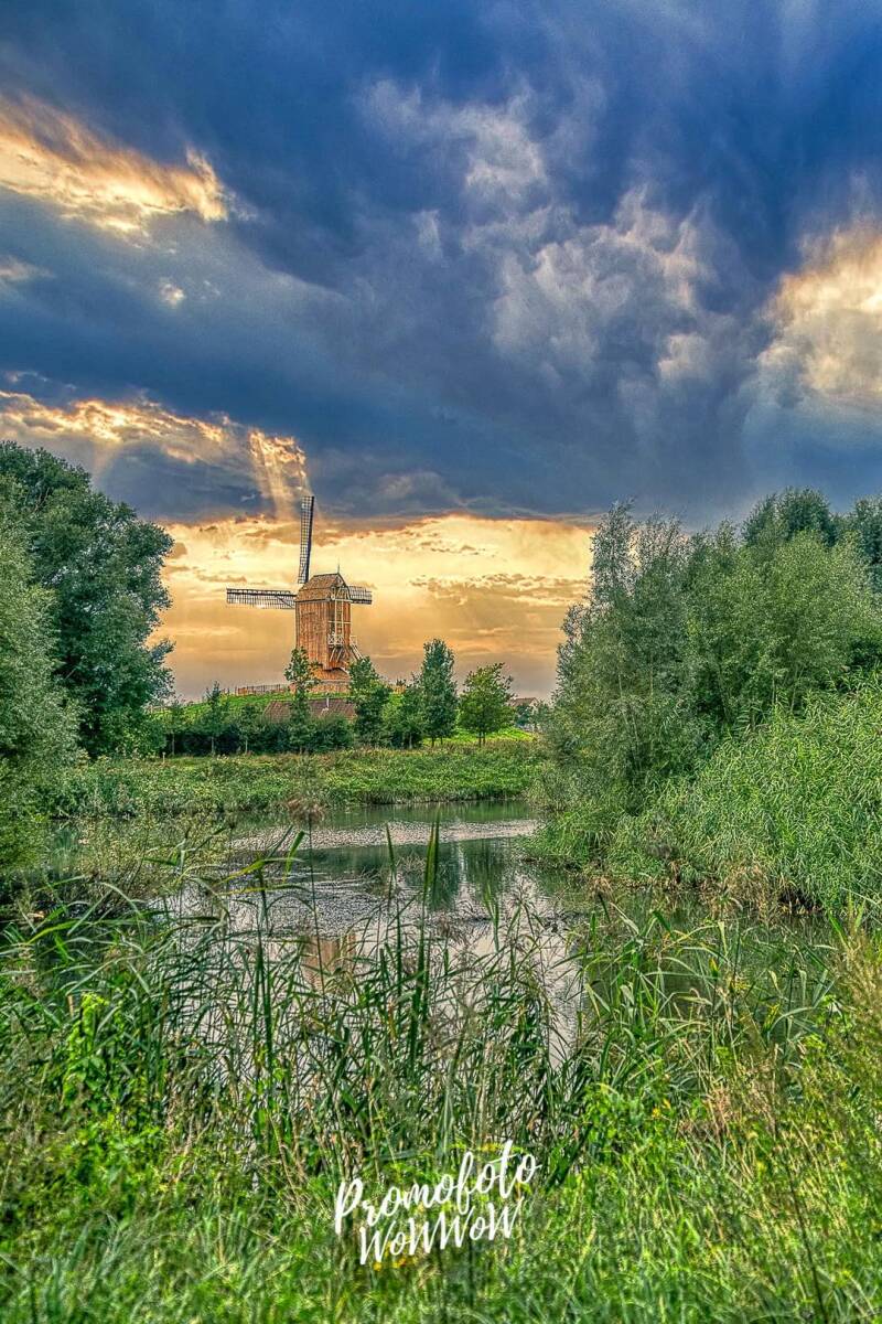 ik zoek een fotograaf huwelijk trouw in harelbeke