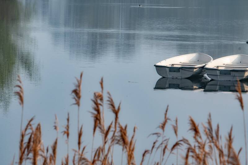 romofoto WoWWoW fotograaf in Harelbeke bij De Gavers, Bavikhove en Hulste