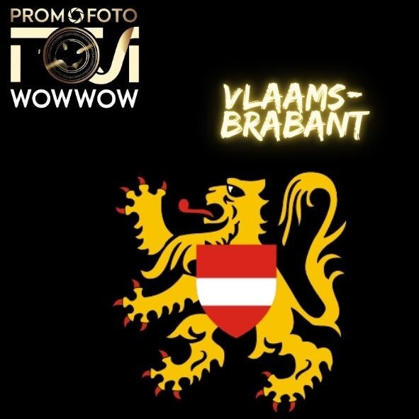 fotograaf Vlaams-Brabant huwelijk event bedrijf