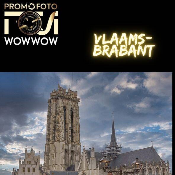 fotograaf Vlaams-Brabant huwelijk event bedrijf