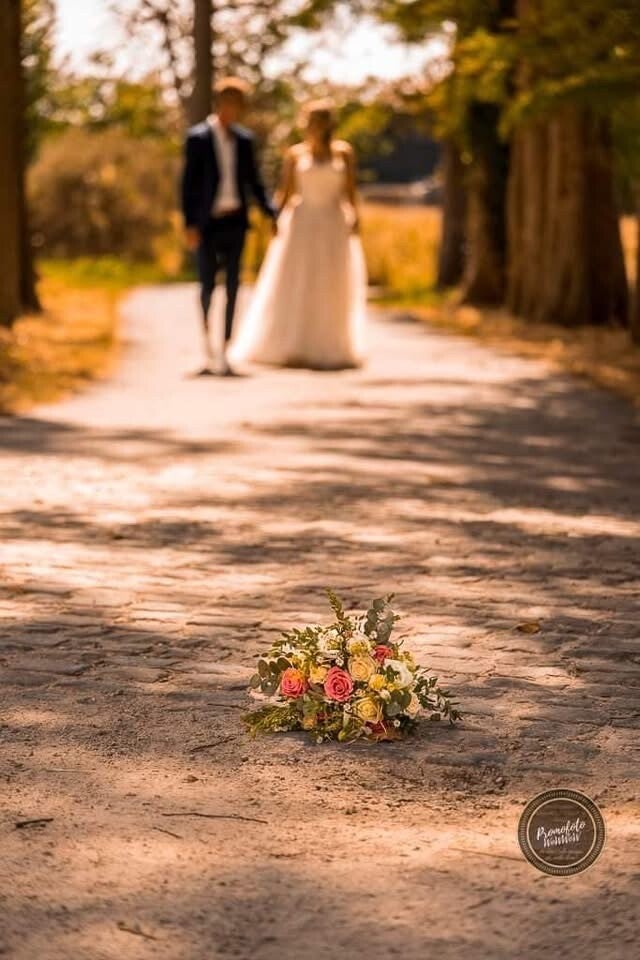 zoek ene fotograaf in Menen